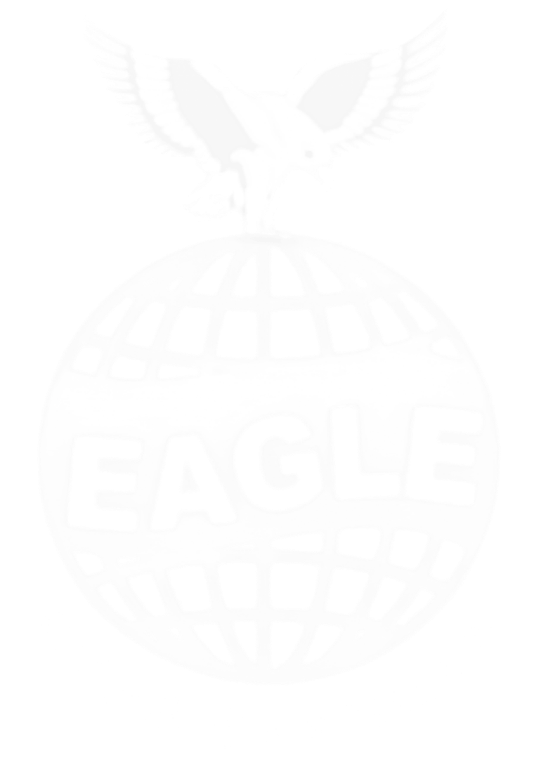 eagleeyesexports.com.np